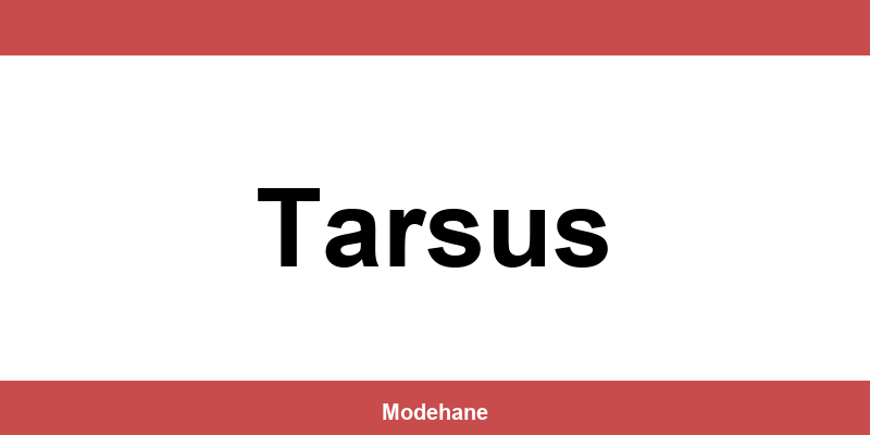 Tudors Tarsus mağazaları ve iletişim bilgileri